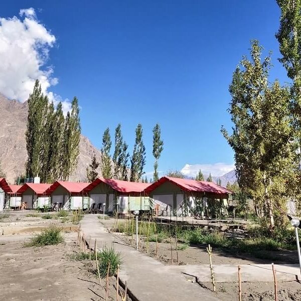 Vibe Camps: Hunder, Nubra Valley, Ladakh