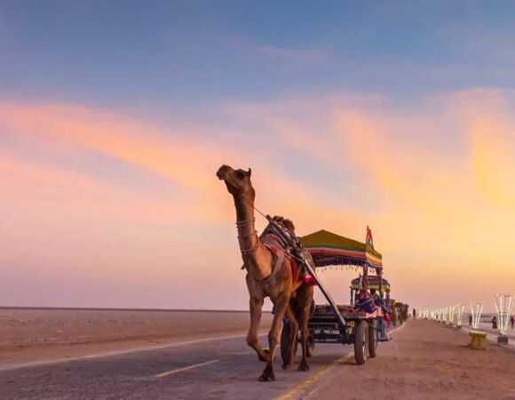 Rann of Kutch - 2N/3D Trip